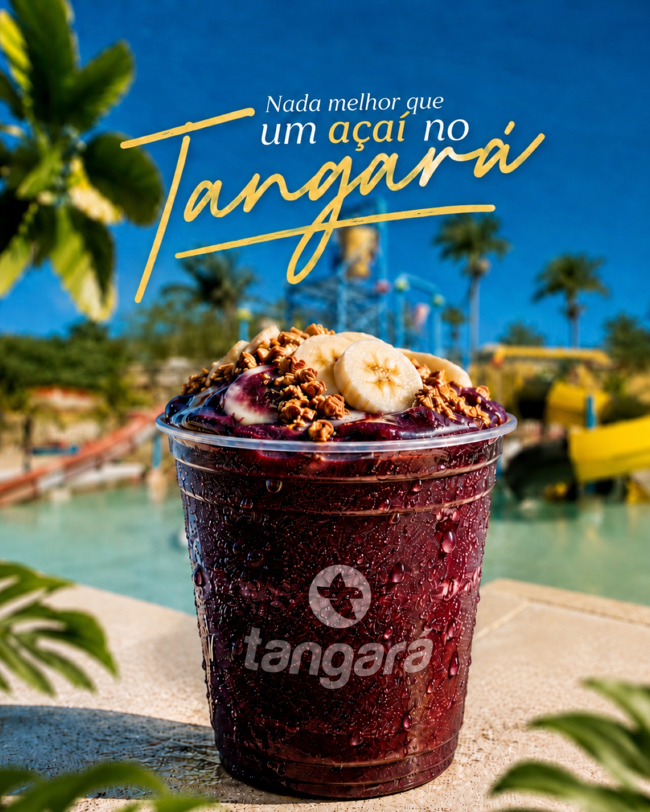 Açaí no Tangará